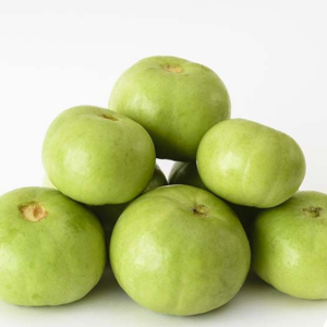 Apple Gourd Exporters