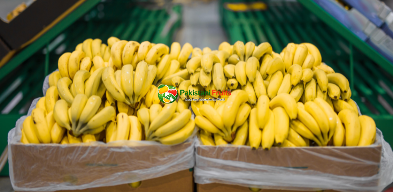 Banana exporter
