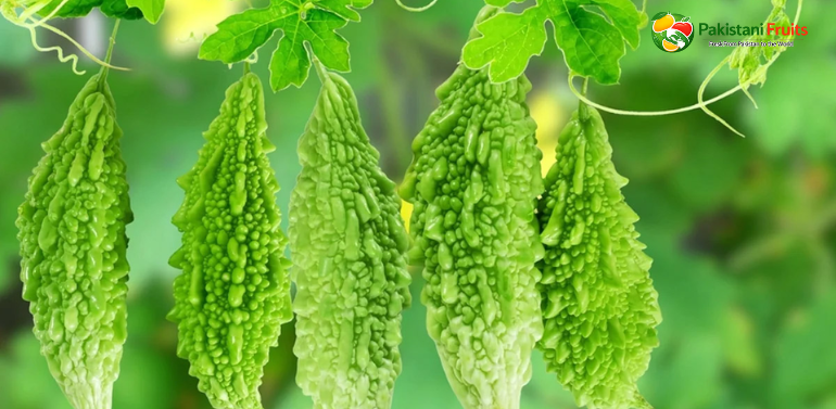 Bitter Gourd (Karela)