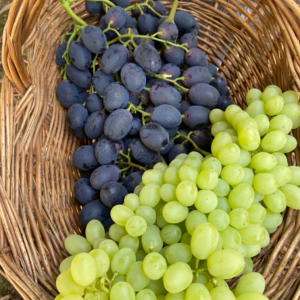 Grapes Exporters