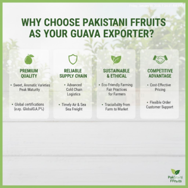Guava Wholesaler