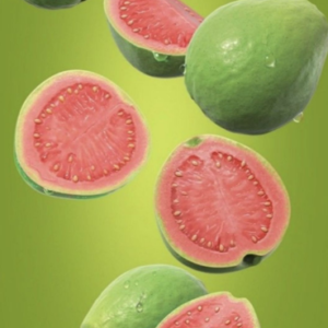 Largest Guava Exporter