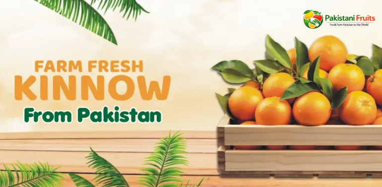 Pakistani Orange Exporter