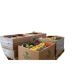 Pakistani_Fruits_Eco-Friendly_Solutions