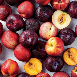 Plums & Peaches Exporters
