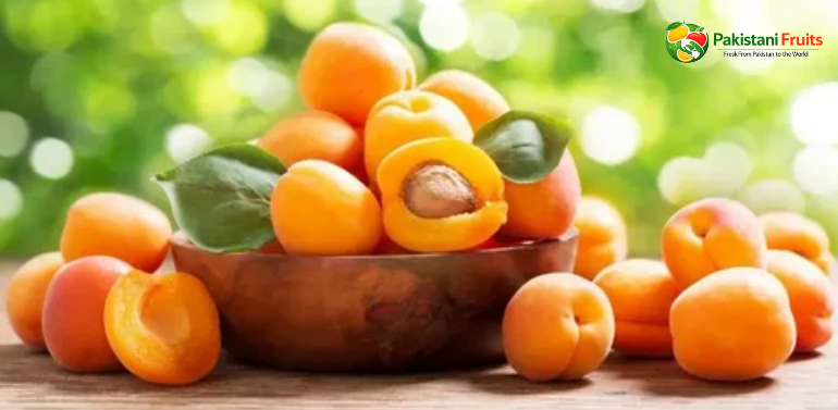 apricot exporter