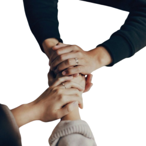 fruits company Commentmint