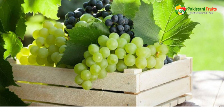grapes exporter