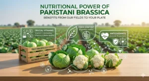 Nutritional Benefits of Cabbage & Cauliflower