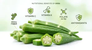 Nutritional Benefits of Okra (Ladyfinger)